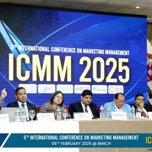 ICMM 2025
